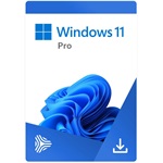 Microsoft Windows 11 Pro ENG DSP OEI DVD asztali operációs rendszer