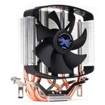 A medve már kijött