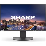 DD-EA241F BLACK 24IN IPS 1920 X 1080 1000:1 250CD