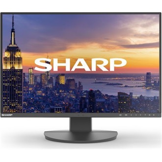 DD-EA242W BLACK 24IN IPS 1920X1200 16:10 300CD