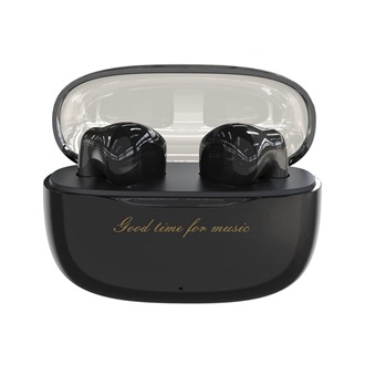 DUDAO U8 bluetooth fülhallgató SZTEREO v5.3, mikrofon + töltőtok, FEKETE