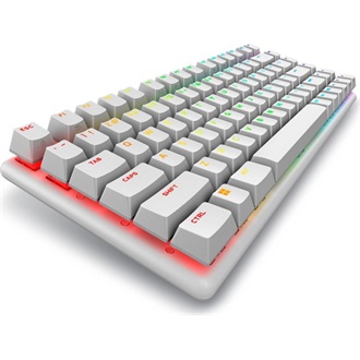 Dell Alienware Pro Wireless Bluetooth / vezeték nélküli angol (US) gaming Linear mechanikus billentyűzet fehér (Lunar Li