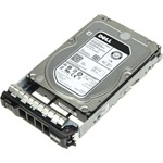 Dell EMC 4TB 7200rpm NL-SAS 3,5" Hot-plug HDD [ R25, R35, R45, R55, R65, R75, T35, T55 ]