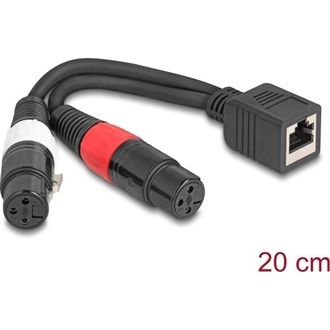 Delock Adapter RJ45 kábel anya - 2 x XLR 3 tűs anya fekete színű 20 cm