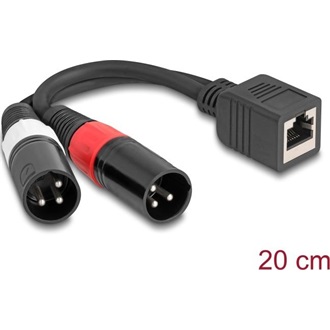 Delock Adapter RJ45 kábel anya - 2 x XLR 3 tűs apa, fekete színű 20 cm