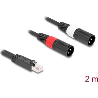 Delock Adapter RJ45 kábel apa - 2 XLR 3 tűs apa fekete színű 2 m