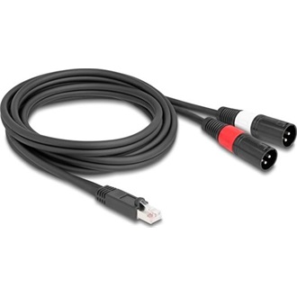 Delock Adapter RJ45 kábel apa - 2 XLR 3 tűs apa fekete színű 2 m