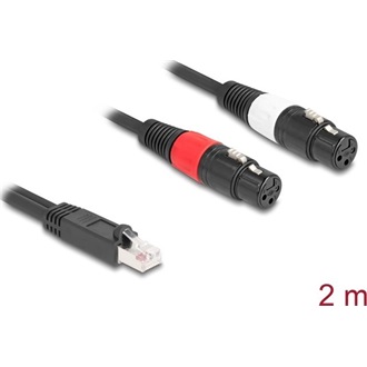 Delock Adapter RJ45 kábel apa - 2 x XLR 3 tűs anya fekete színű 2 m