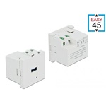 Delock terminal block -> USB-A 2.0 F/F Easy 45 modul fehér töltő port