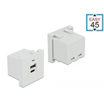 Delock Charging Port USB-A 2.0 USB-C -> Terminal block 2pin F/F Easy 45 modul fehér