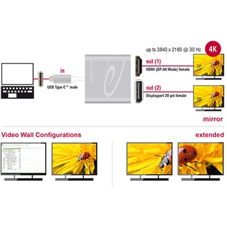 Delock USB-C -> HDMI DisplayPort M/F adapter 0.15m ezüst Splitter