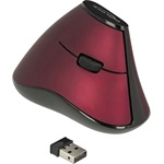 Delock Ergonomic vertical optical 5-button mouse 2.4 GHz wireless