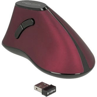 Delock Ergonomic vertical optical 5-button mouse 2.4 GHz wireless