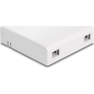 Delock Fehér száloptikai csatlakozódoboz falra szereléshez 2 db SC Simplex vagy LC Duplex-hez