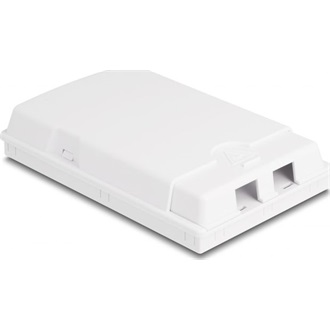 Delock Fehér száloptikai csatlakozódoboz falra szereléshez 2 db SC Simplex vagy LC Duplex-hez