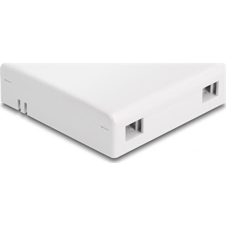 Delock Fehér száloptikai csatlakozódoboz falra szereléshez 2 db SC Simplex vagy LC Duplex-hez