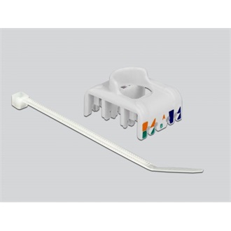 Delock CAT6A STP -> LSA CAT6A F/F keystone modul