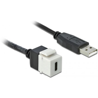 Delock USB-A 2.0 -> USB-C M/F keystone modul 0.25m fehér