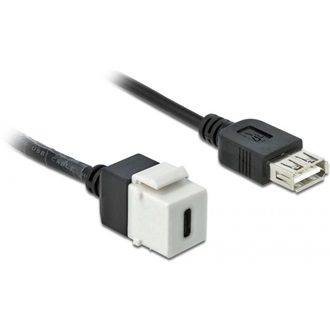Delock USB-A 2.0 -> USB-C F/F keystone modul 0.25m fehér