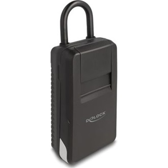 Delock Kulcs széf lakattal kulcstárolásra kombinációs zárral