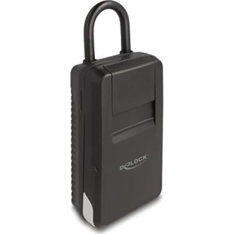 Delock Kulcs széf lakattal kulcstárolásra kombinációs zárral