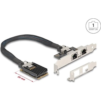 Delock Mini PCIe I/O PCIe teljes méretű 2 x RJ45 Gigabit LAN