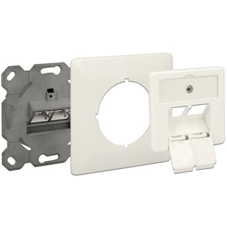 Delock Modulos fali aljzat süllyesztett 2 Port Cat.6A LSA