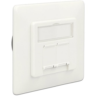 Delock Modulos fali aljzat süllyesztett 2 Port Cat.6A LSA