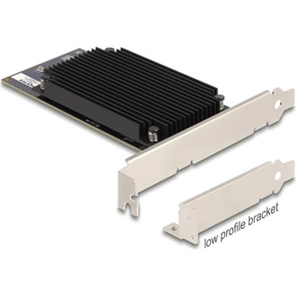 Delock PCI Express x8 Hailo-8  AI processzor x2 AI-Accelerator
