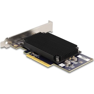 Delock PCI Express x8 Hailo-8  AI processzor x2 AI-Accelerator