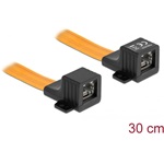Delock RJ45 FPC (Flexibilis Nyomtatott Áramkör) ablakon átbújtató, 30 cm