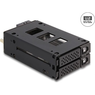 Delock Slim Mobil Rack 2 x 2.5  U.2 NVMe SSD