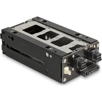 Delock Slim Mobil Rack 2 x 2.5  U.2 NVMe SSD