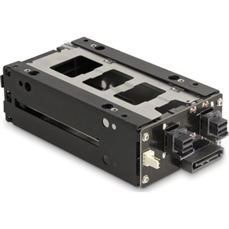 Delock Slim Mobil Rack 2 x 2.5  U.2 NVMe SSD