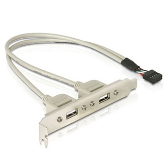 Delock USB-A Pinheader 9pin -> 2db USB-A 2.0 F/F hátlapi kivezetés 0.3m