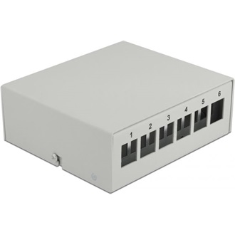 Delock Szürke 6 portos Keystone próbapanel