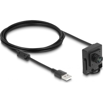 Delock USB 2.0 Kamera 2,1 megapixeles 100 fokos fixfókusz