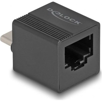 Delock Realtek RTL8153B 1Gb/s USB-C RJ45 hálózati adapter mini