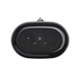 JBL TUNER XL bluetooth hordozható hangszóró v4.2, DAB+, FEKETE