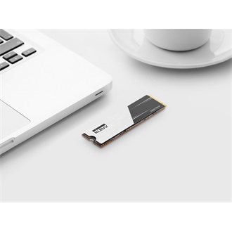 KLEVV CRAS C910 1TB PCIe x4 (4.0) M.2 2280 SSD