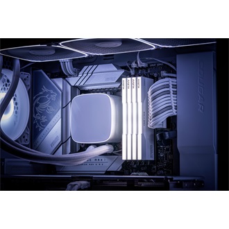 KLEVV CRAS V 64GB 6400MT/s DDR5 memória CL32 Kit of 2 fehér RGB