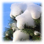 Karácsony és Szilveszter pihenőnap