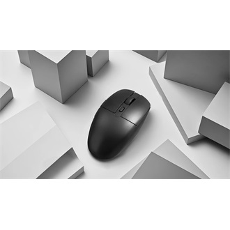Keychron BM22 1K optikai Bluetooth / vezeték nélküli egér fekete