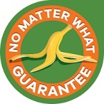 Kiterjesztett Toshiba garancia