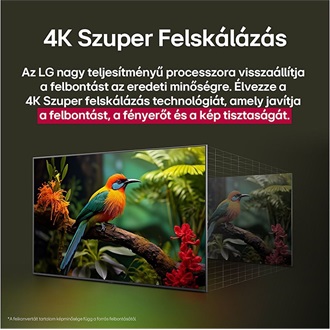LG 43NANO80A3B 43" NanoCell IPS LED smart TV