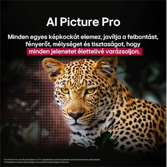 LG AI B5 48" OLED smart TV