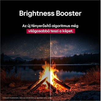 LG evo AI C5 48" OLED smart TV