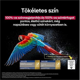 LG evo AI C5 48" OLED smart TV