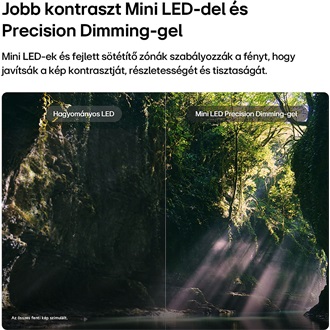 LG evo AI QNED87 55" QNED MiniLED smart TV