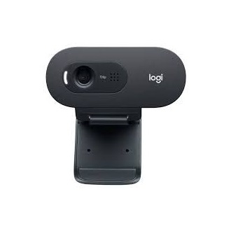 Logitech C505e HD Business webkamera fekete
